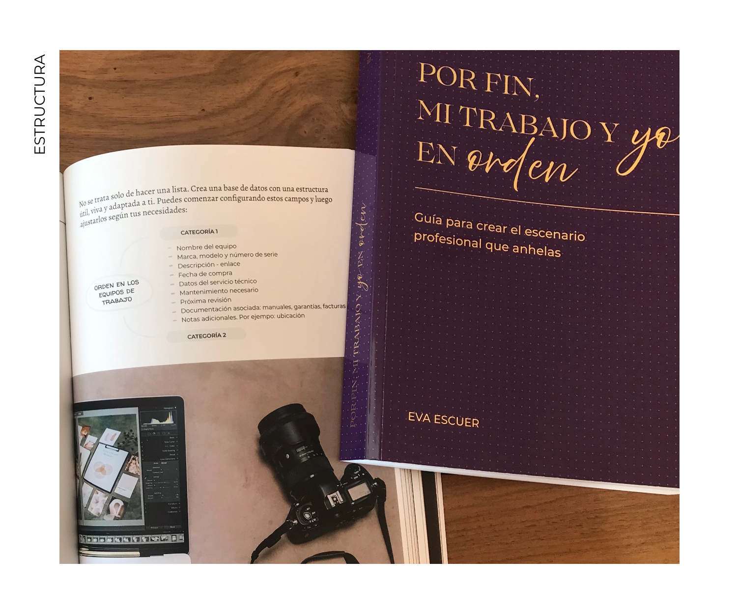 Portada e interior de la obra Por fin, mi trabajo y yo en orden con sistema de organización de equipos de trabajo y recursos profesionales.