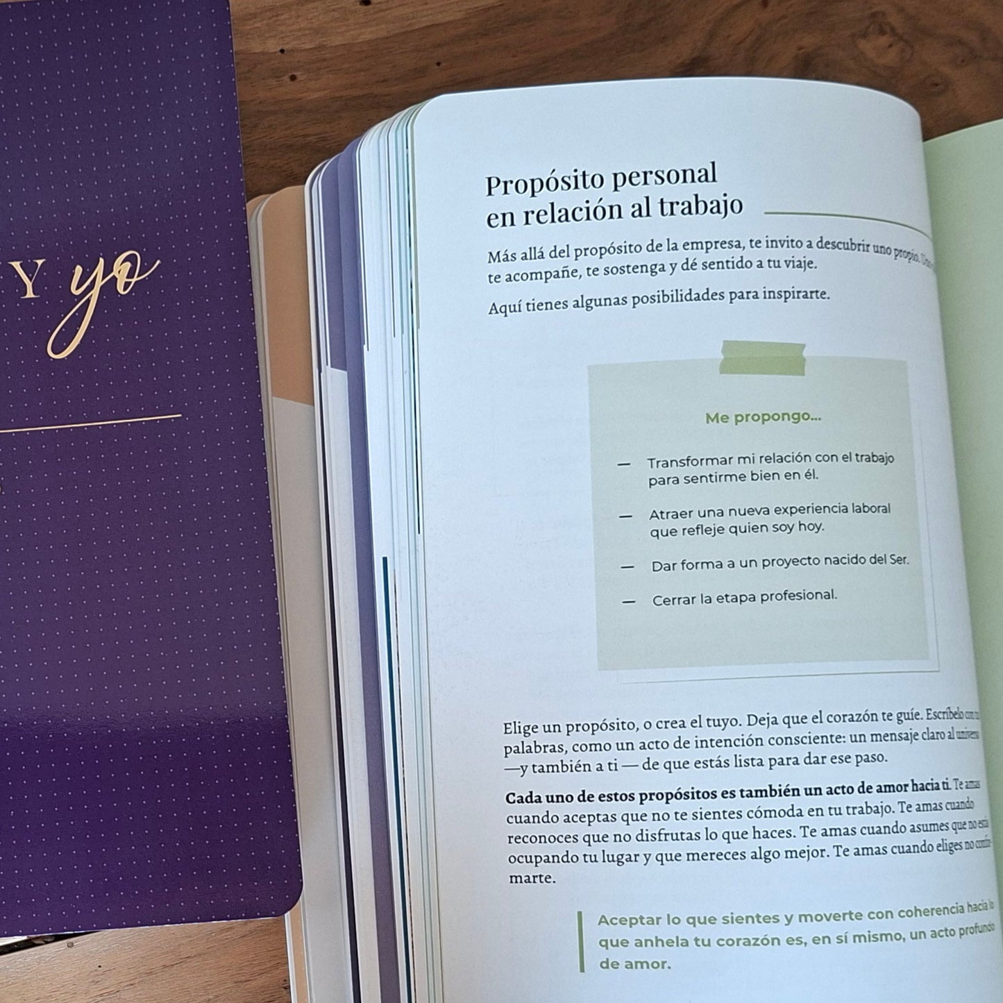 Interior de la obra Por fin, mi trabajo y yo en orden con ejemplos de propósitos personales en relación al trabajo.
